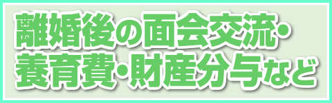 離婚後の面会交流・養育費・財産分与など