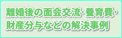 離婚後の面会交流・養育費・財産分与など