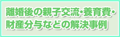 離婚後の親子交流・養育費・財産分与など